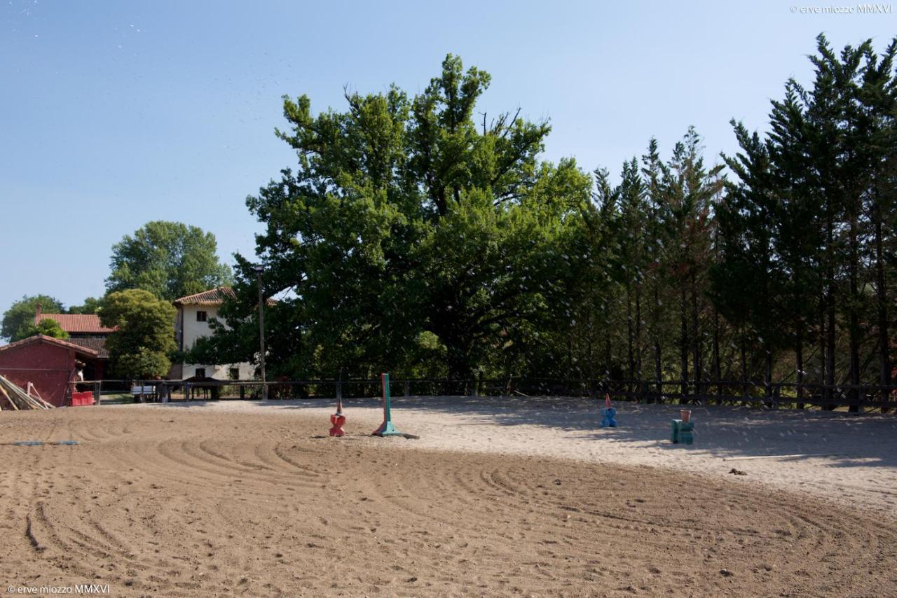 Villa Mainardi Agriturismo Camino al Tagliamento Eksteriør bilde